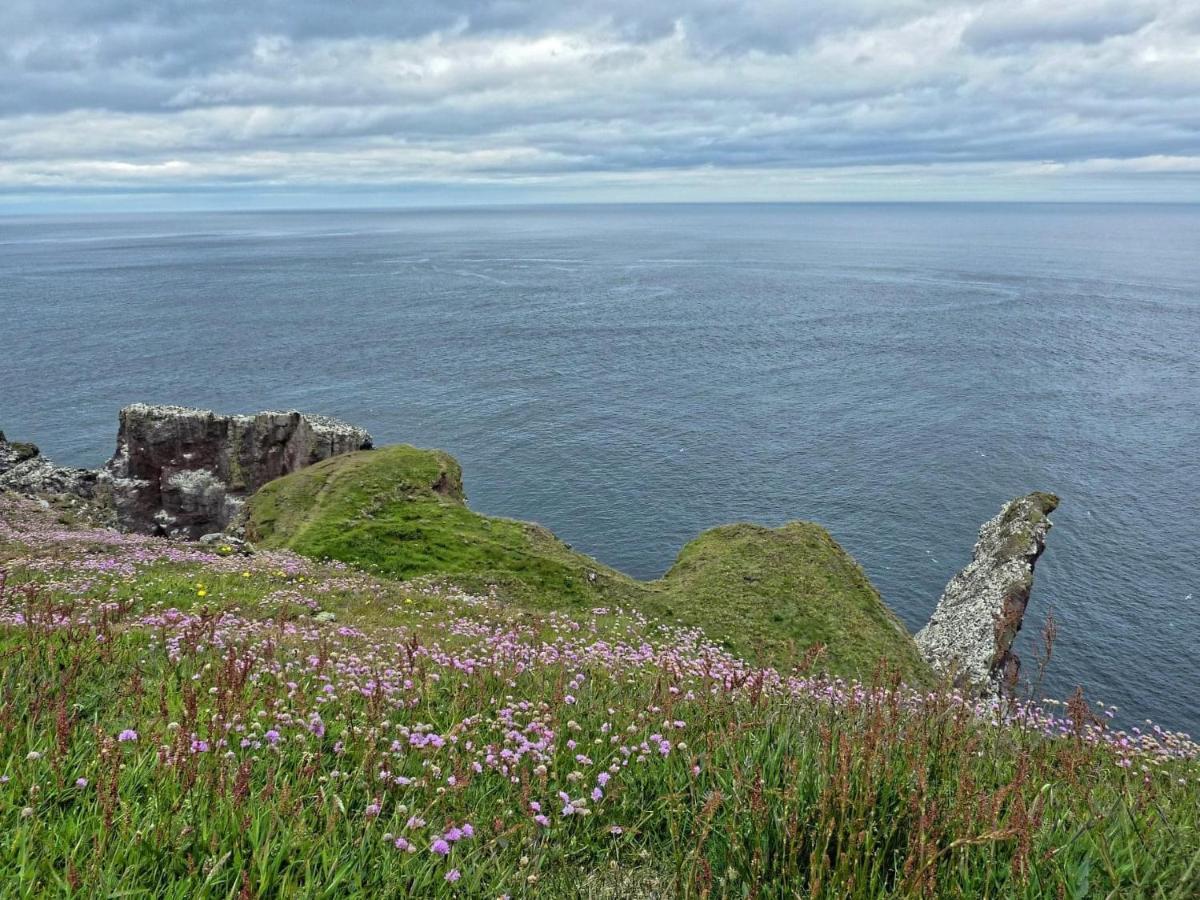 The Law House Daire Coldingham Dış mekan fotoğraf